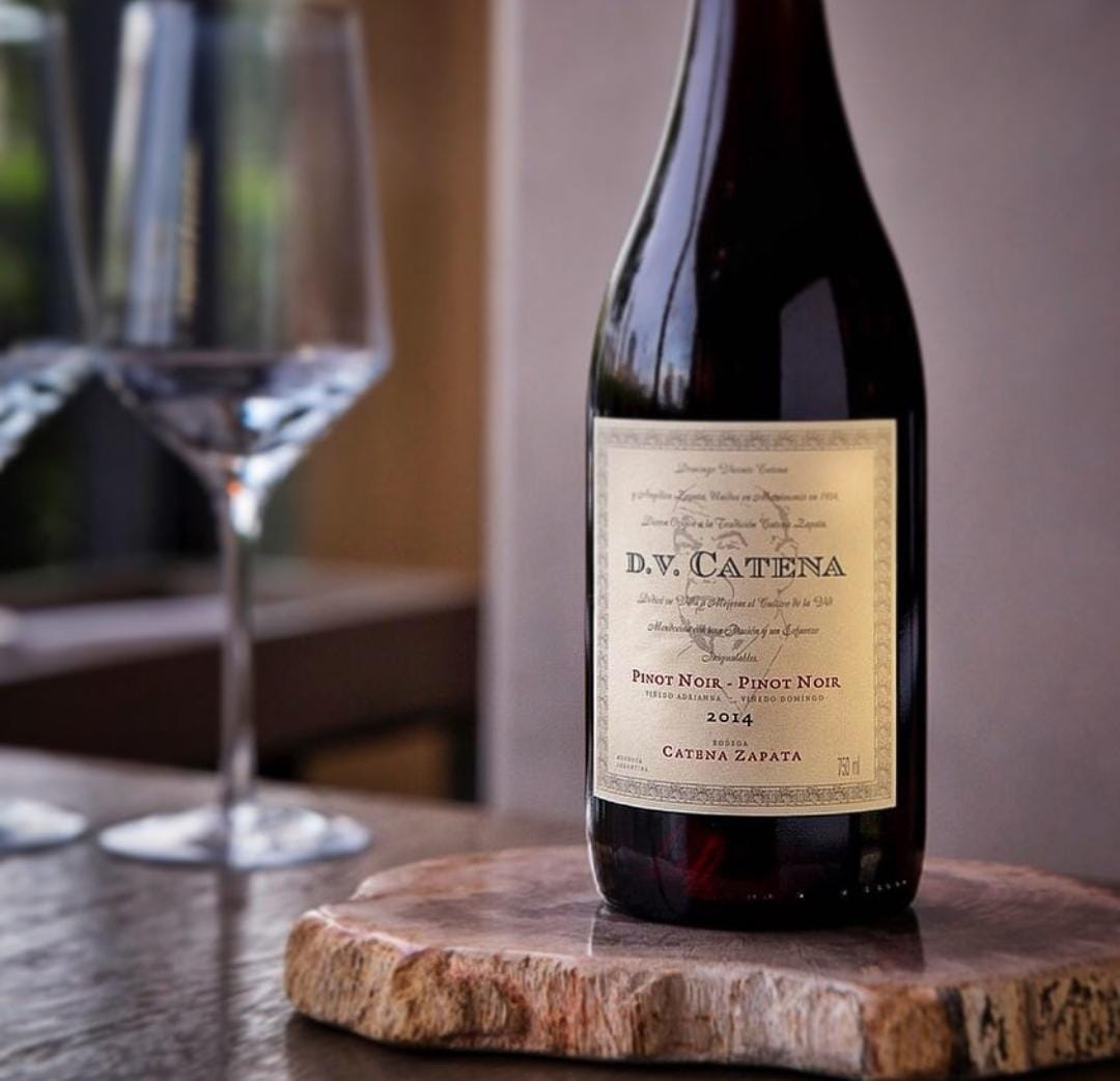 D.V. Catena pinot noir - pinot noir